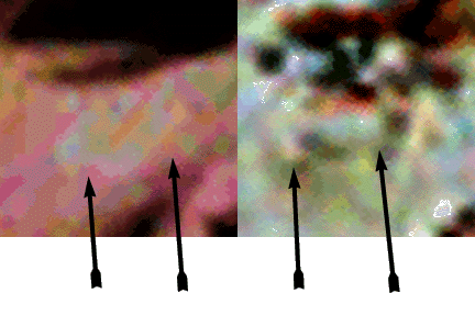 Morph interpretation of film blemish